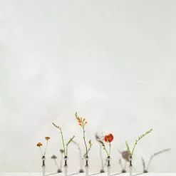 STOFF Nagel Nagel Vase, Chrome -Knoppen & handgrepen Verkoop stoff nagel vase 21